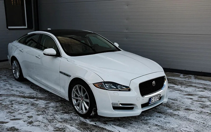 Jaguar XJ cena 127999 przebieg: 89000, rok produkcji 2016 z Bystrzyca Kłodzka małe 154